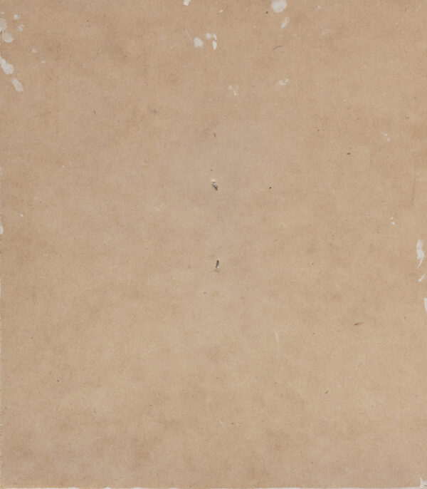 49 - Image 3